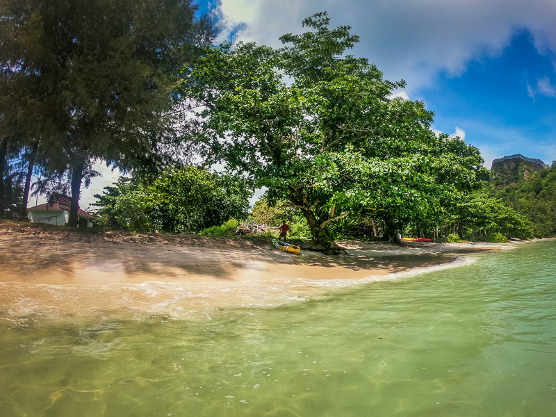 The shore from the sea