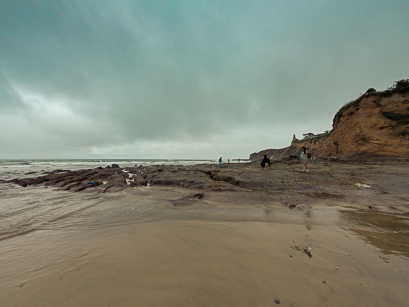 Walking by the beach