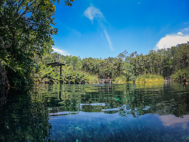 Swimming in the cenote