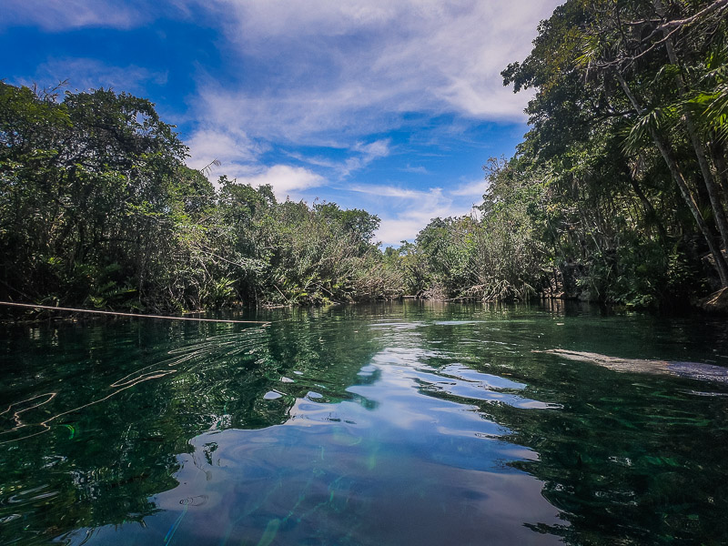 Swimming in the cenote