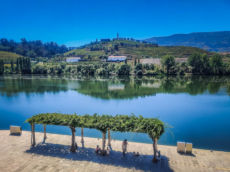 View of the river and vineyards from the riverbank