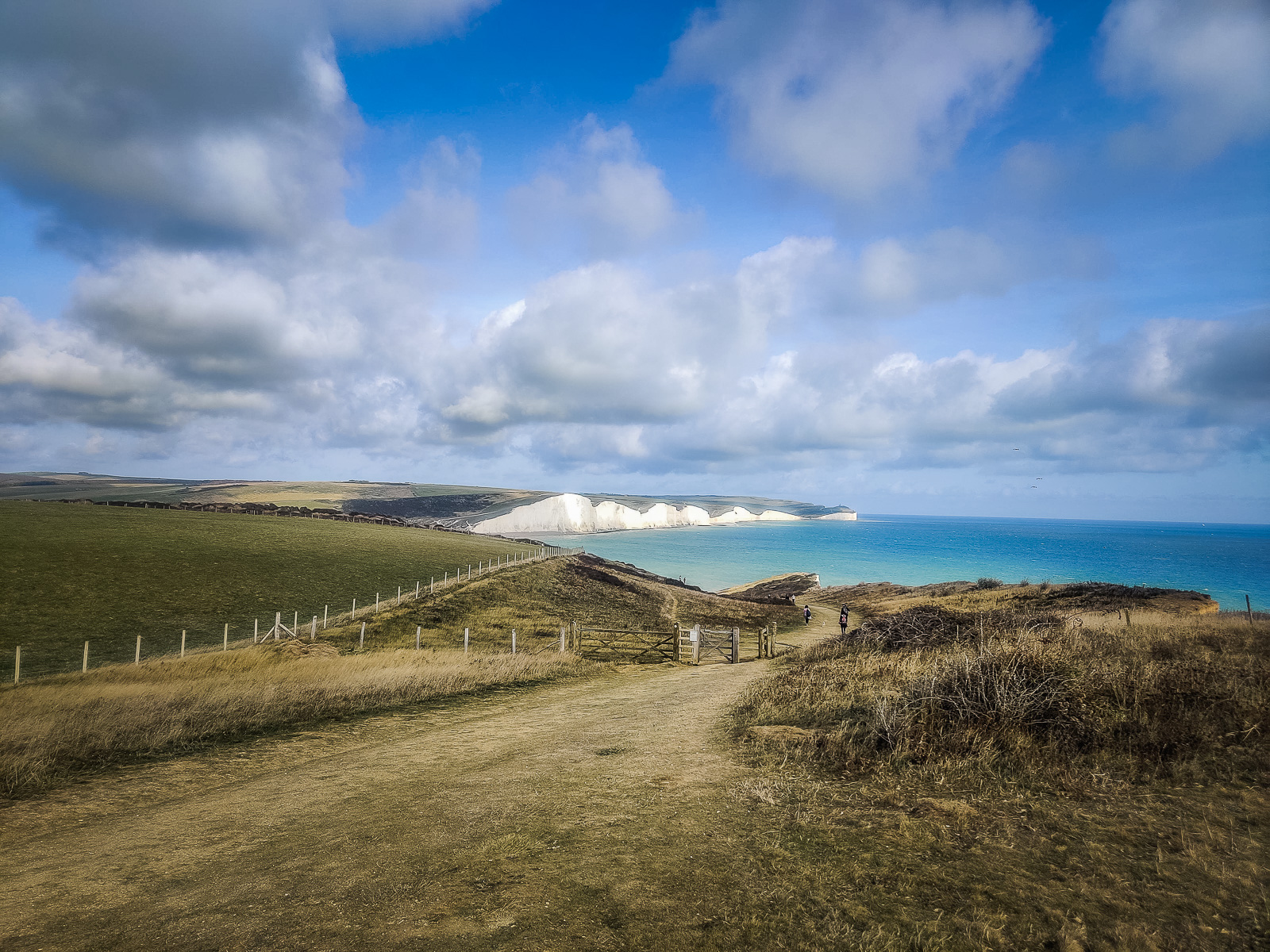 A view of the white cliffs from the trail