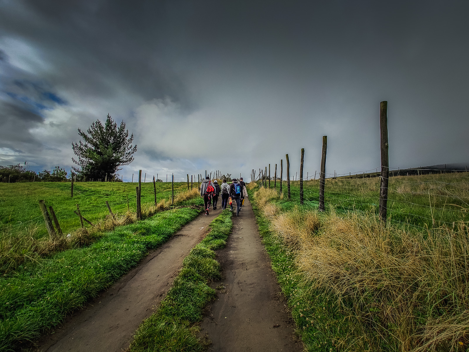 The road up to the start of the trail