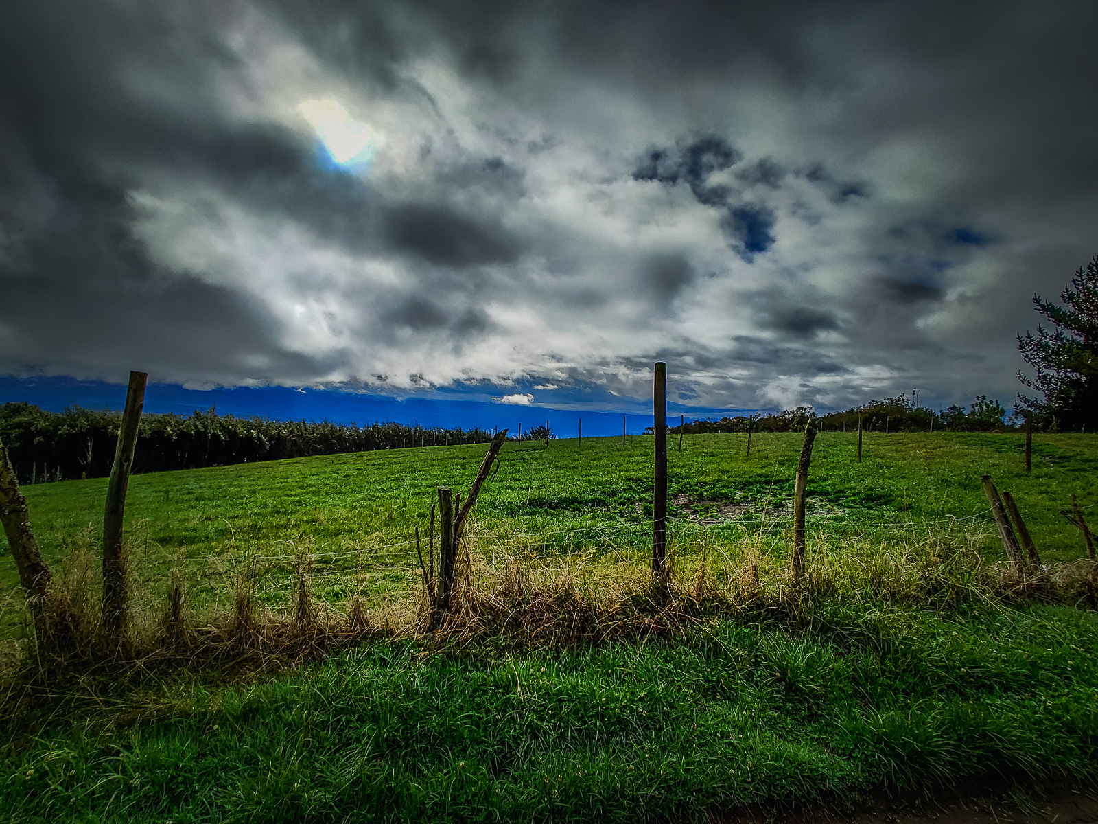 The landscape from the road