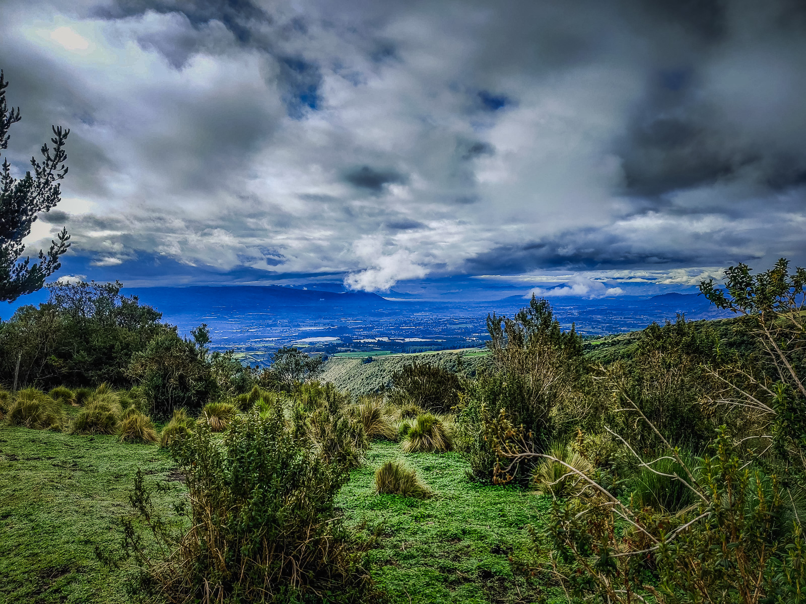 The landscape from the road