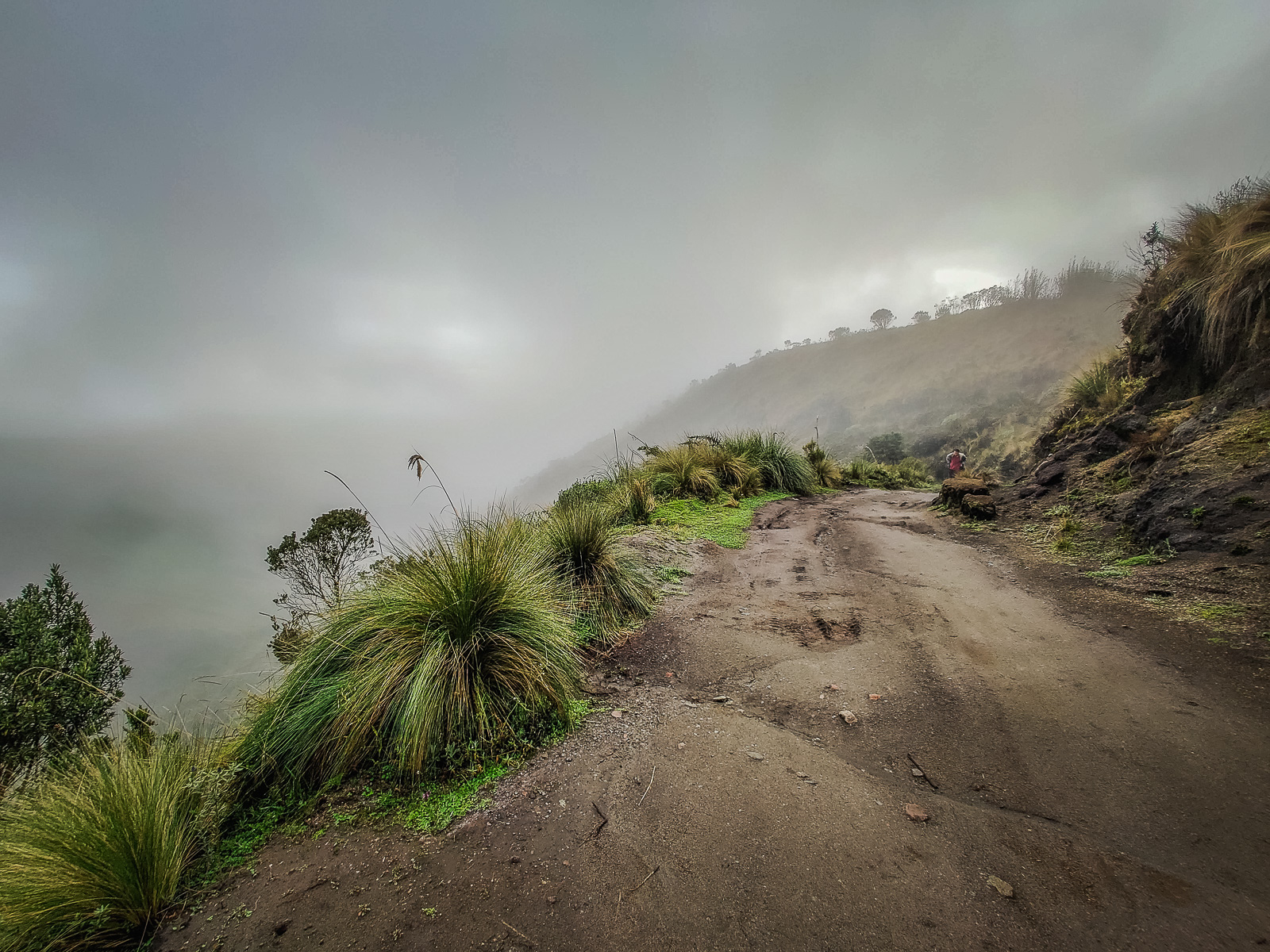 The road up to the start of the trail