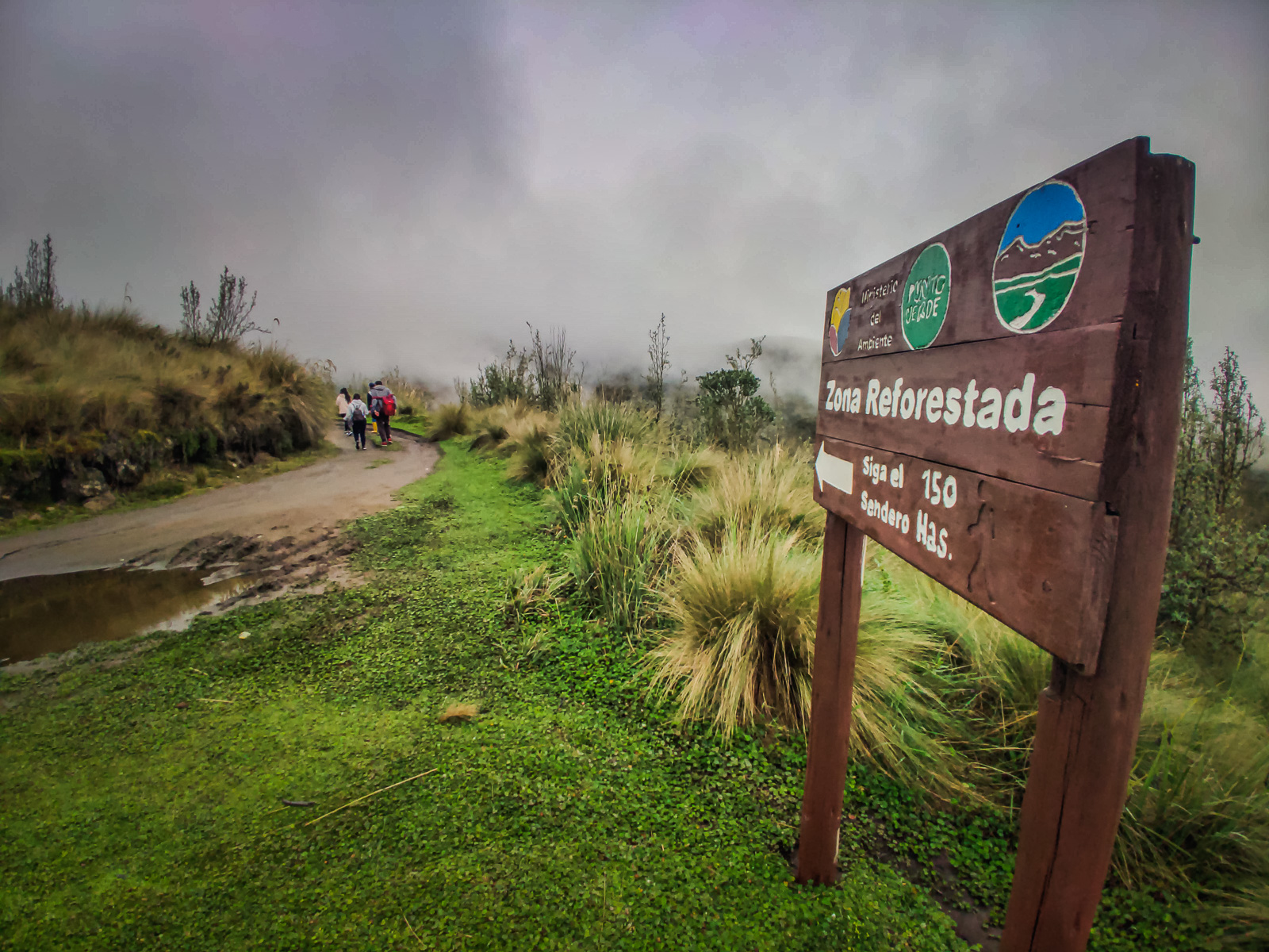 The road up to the start of the trail