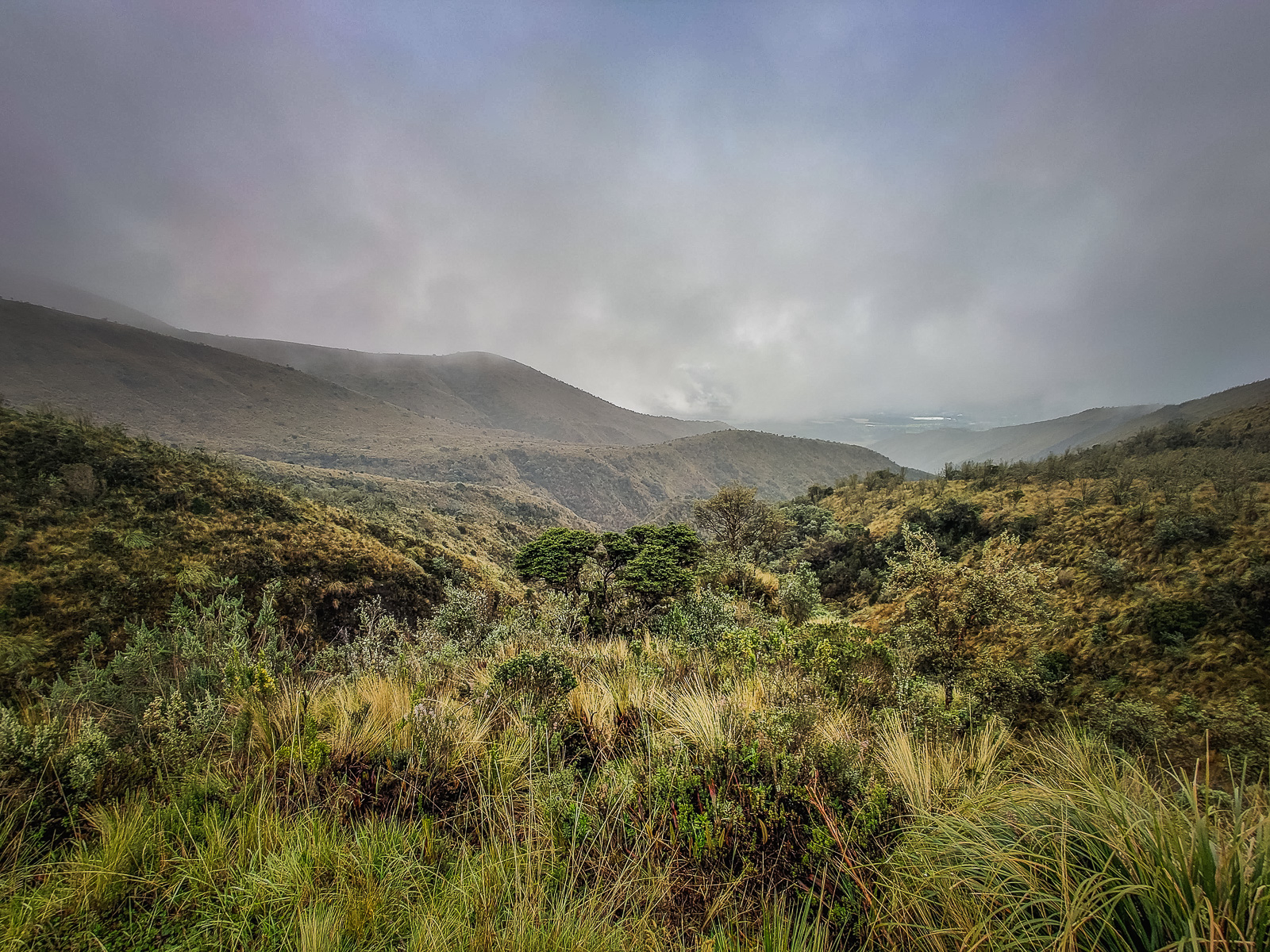 The landscape from the road