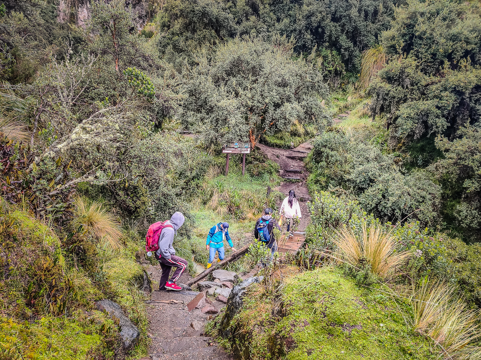 The trail down to the footbridge