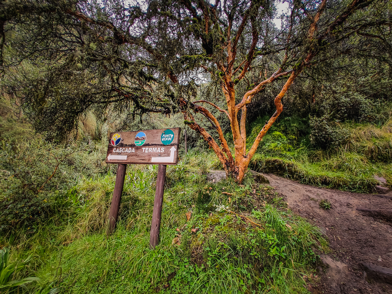 The fork on the trail to the waterfall and hot spring