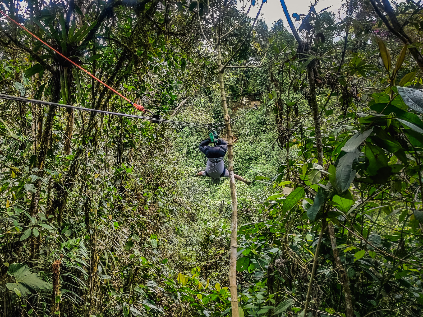 Zip-lining through the cloud forest