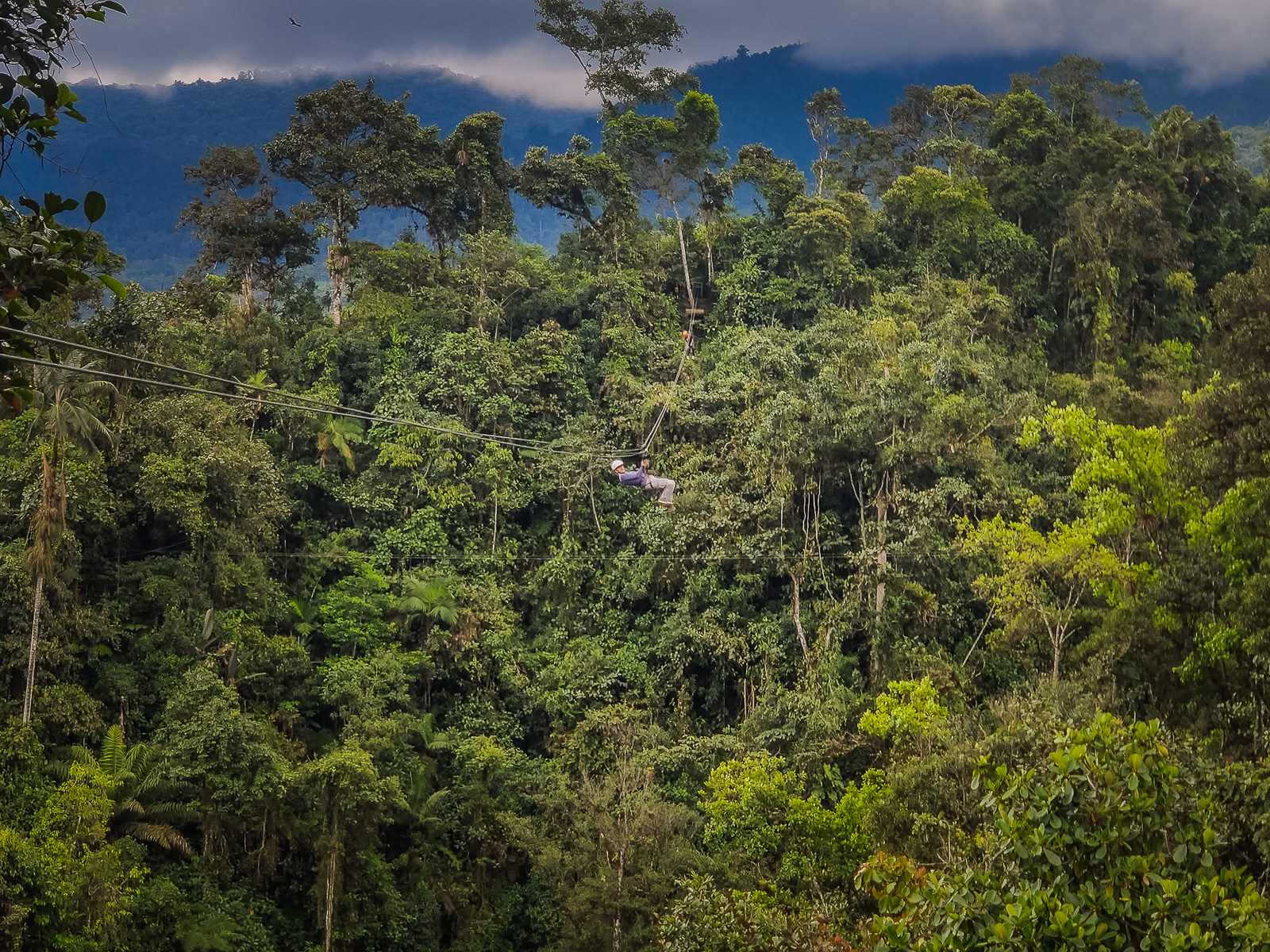 Zip-lining through the cloud forest