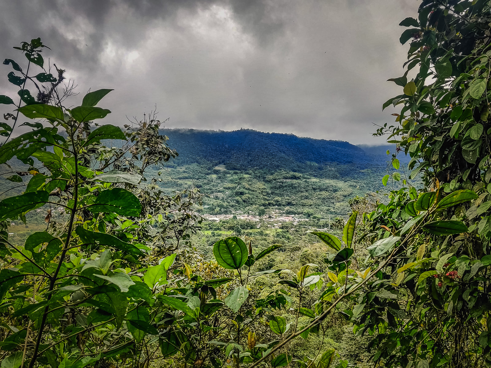 The town from the zip-lining location