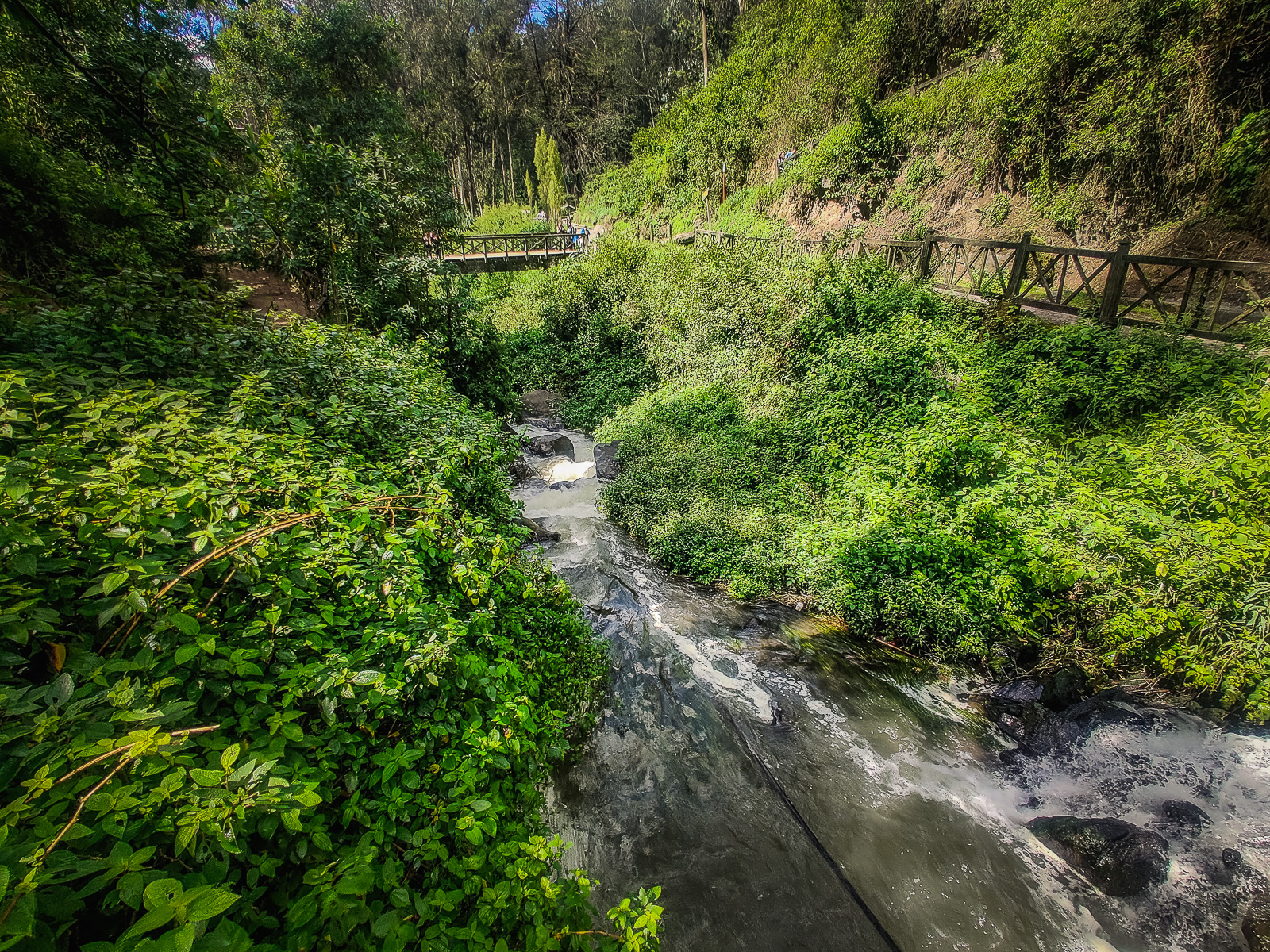 View of the river from the bridge