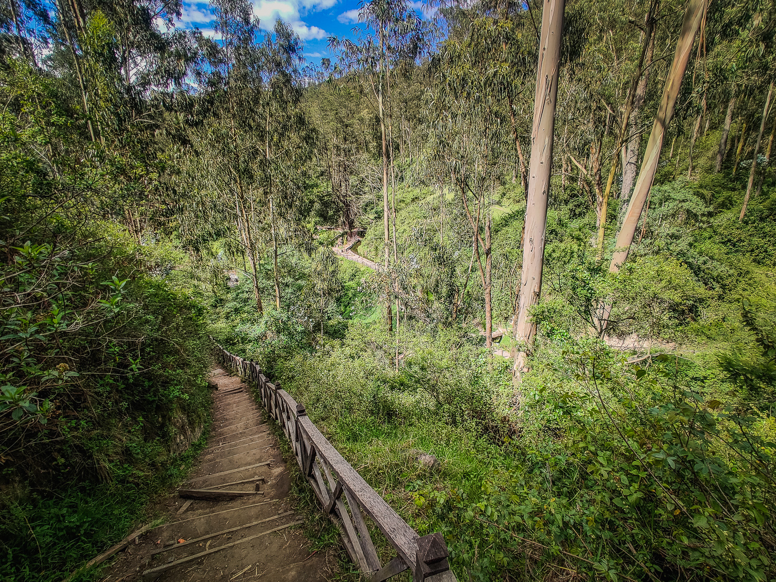 The trail to the view point above the waterfall