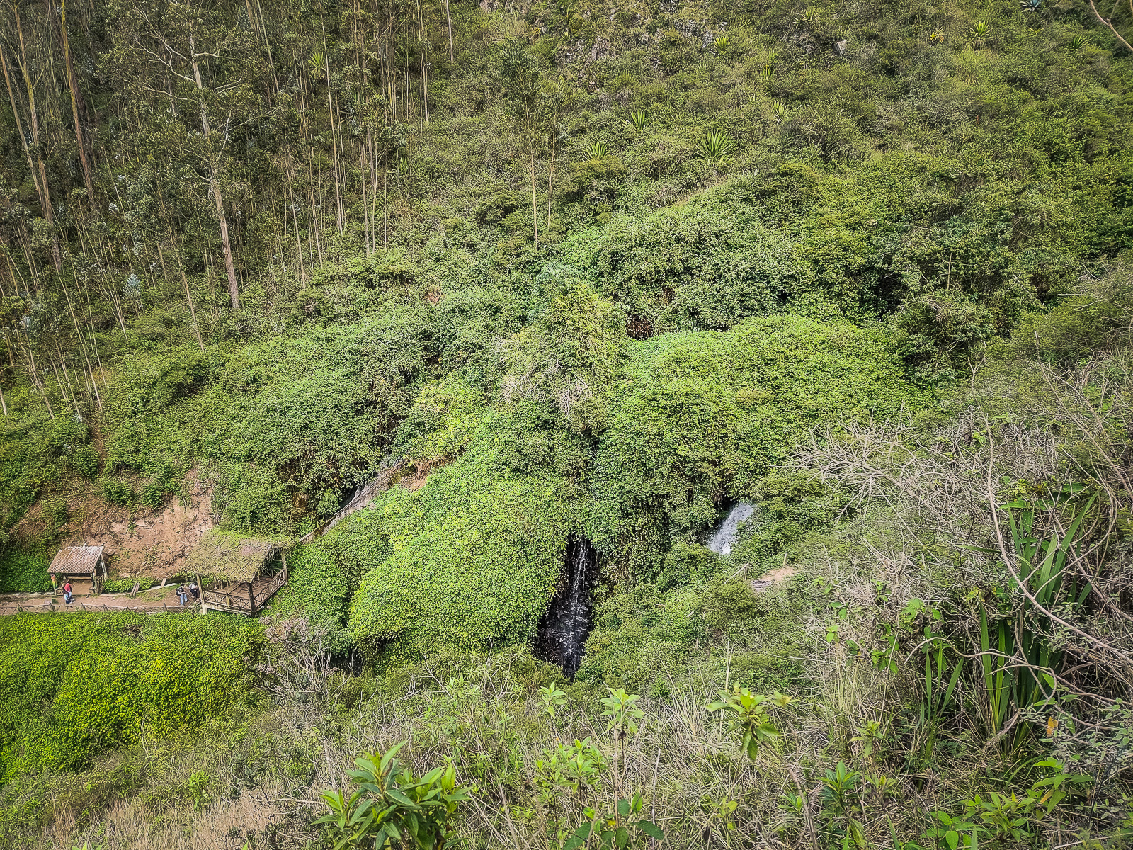 The trails from the viewpoint