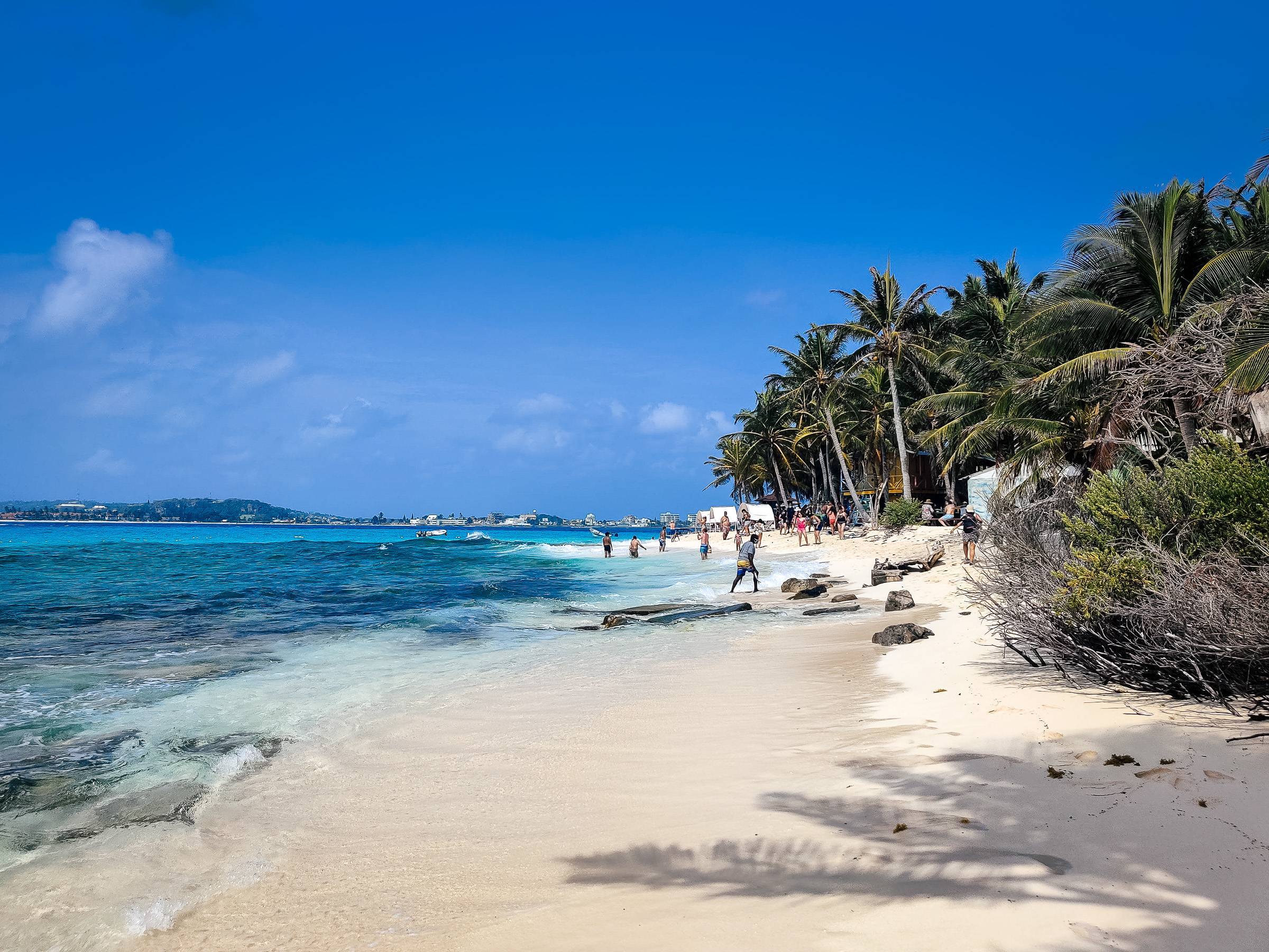 The palm-tree-lined beach