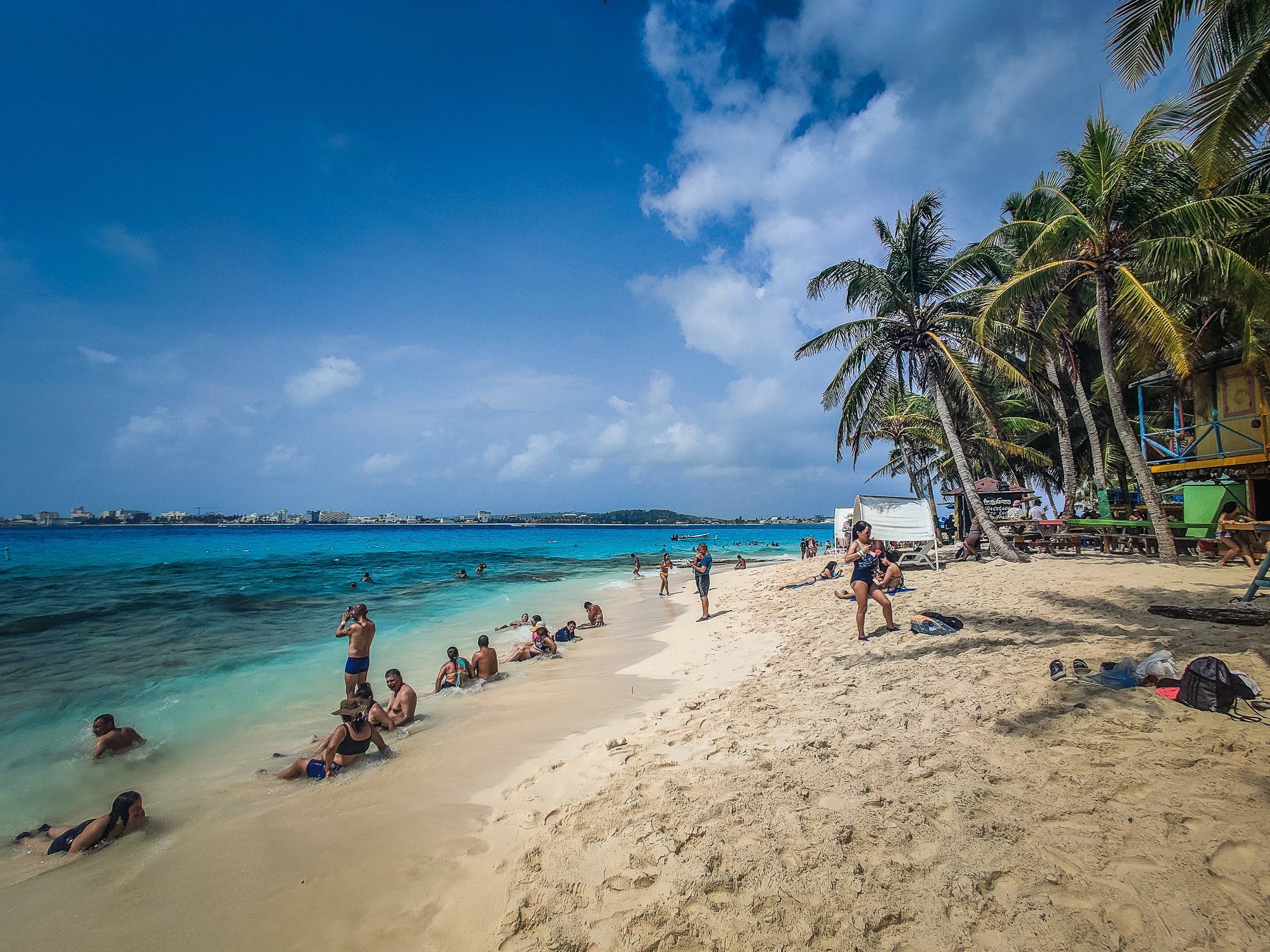 The palm-tree-lined beach