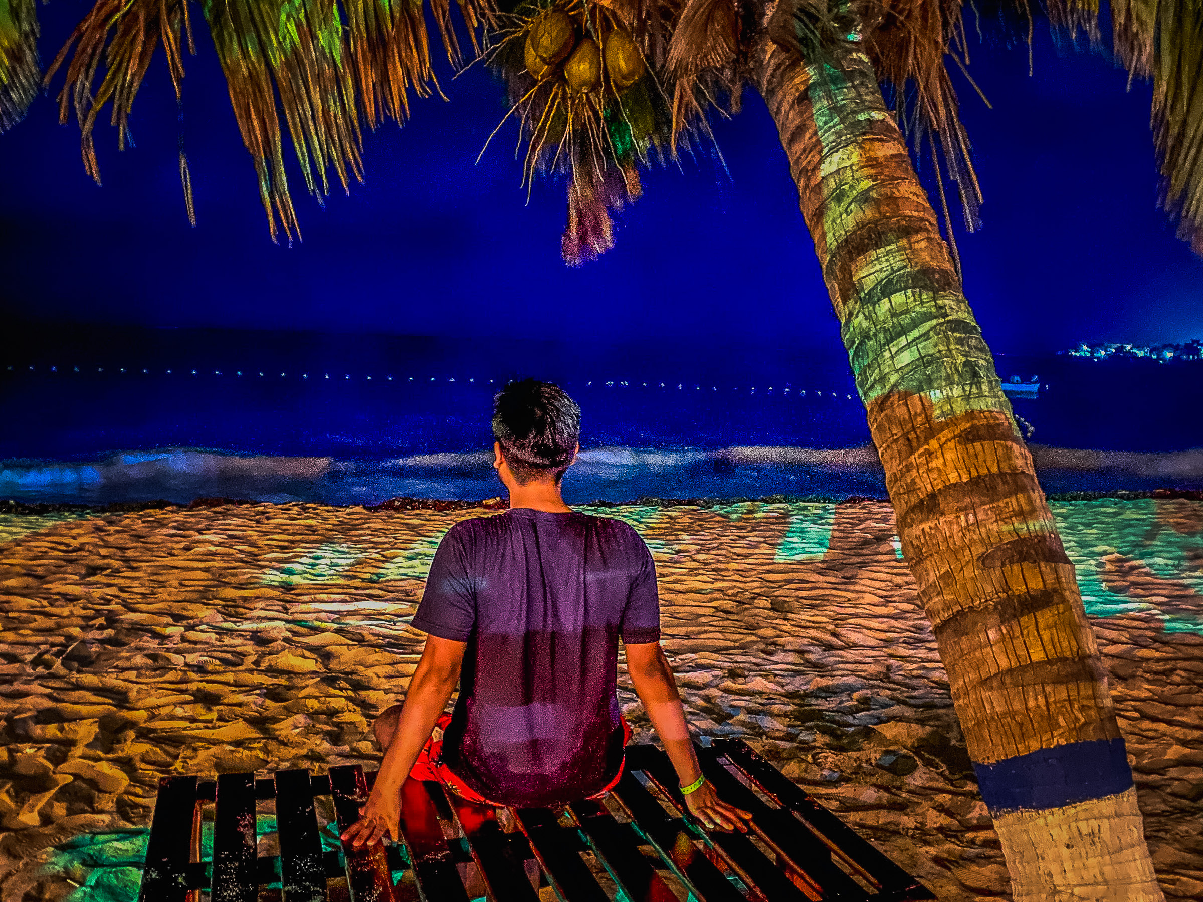 View of the beach at night