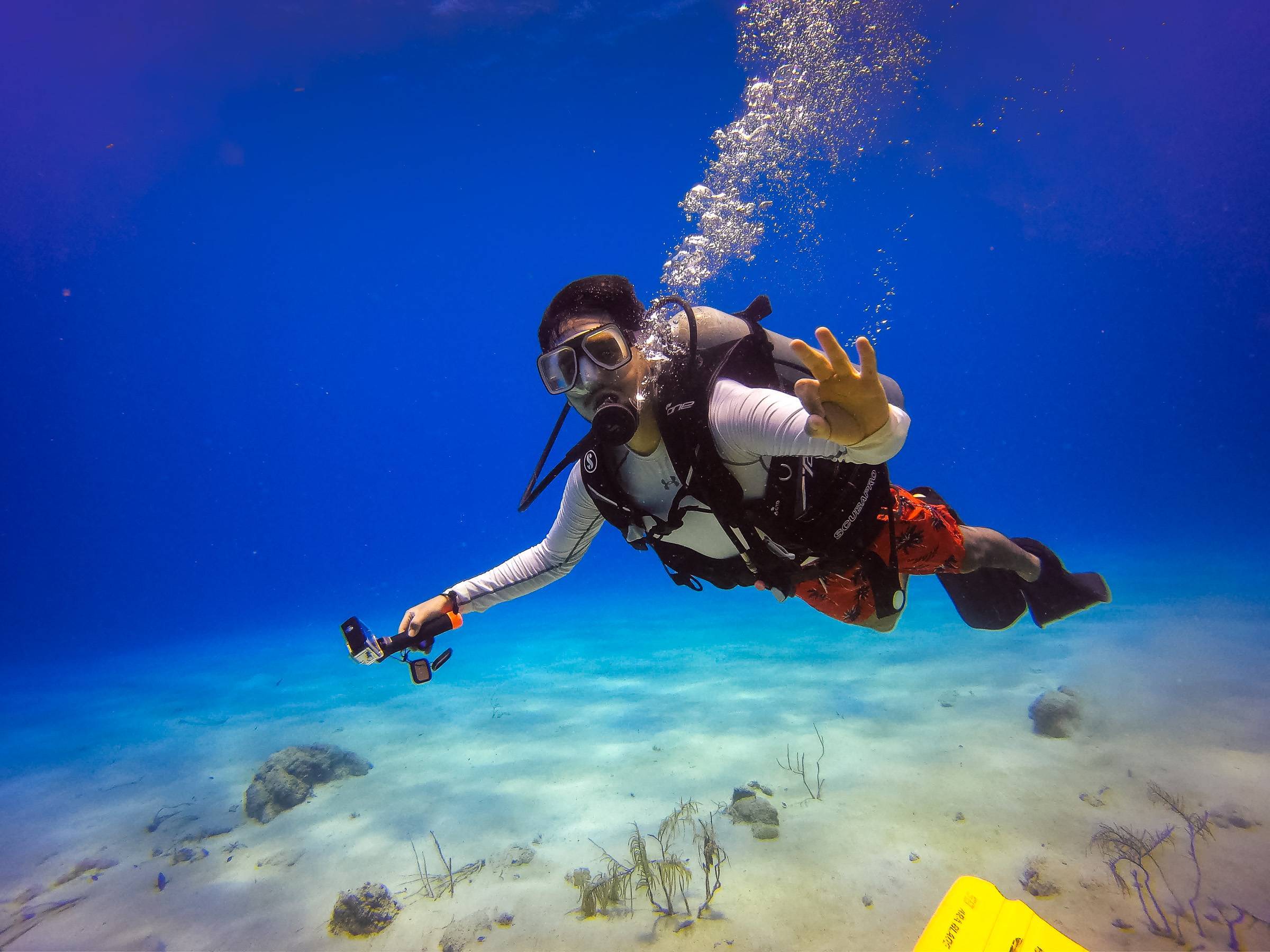 Drifting along the seabed