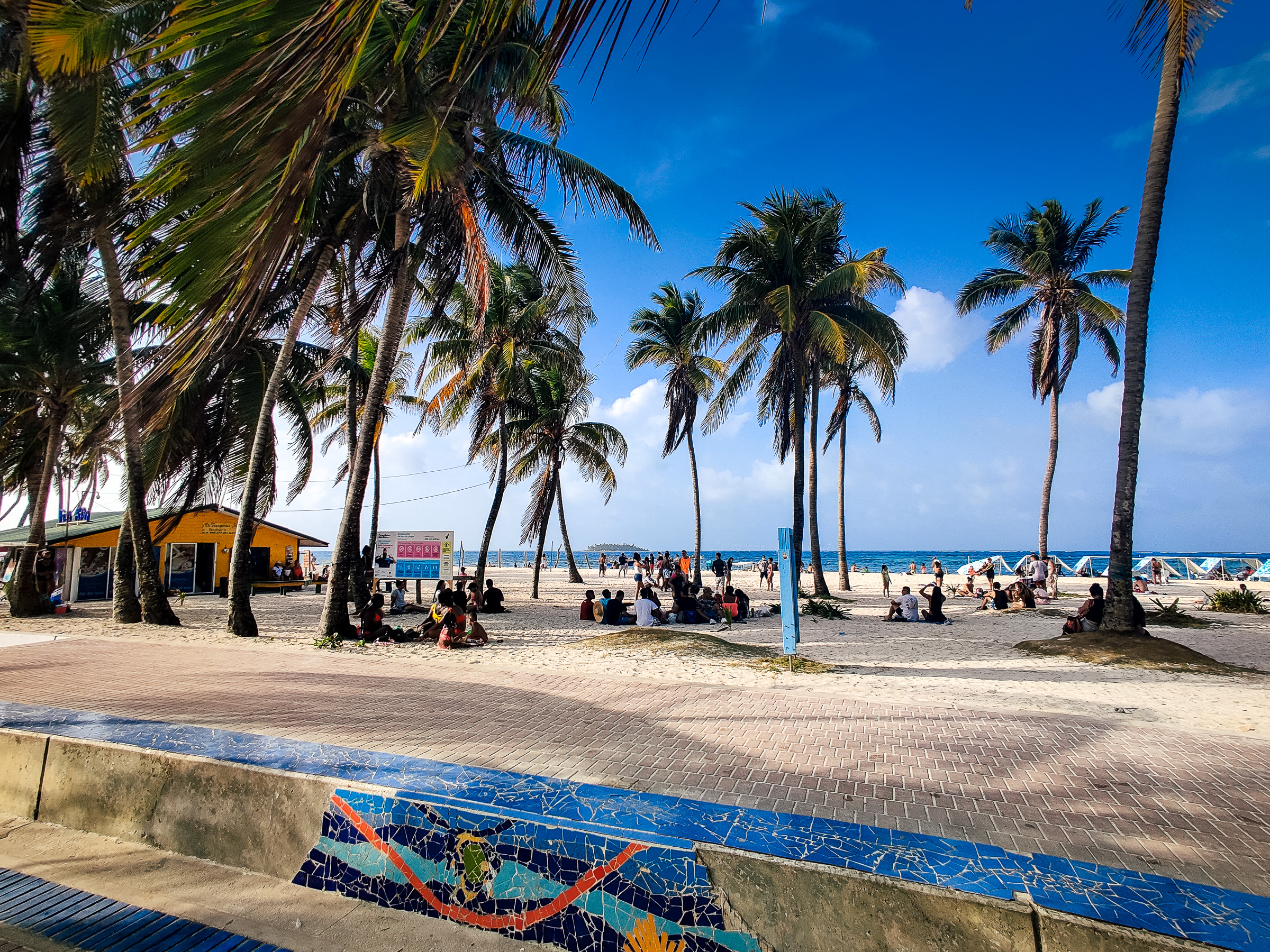 Palm tree lined beach